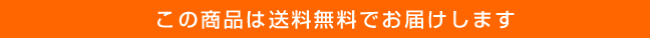 送料無料