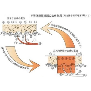 ゲルマニウムスリムローラー　　スペシャルプレゼント付)