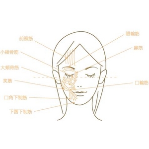 ゲルマニウムスリムローラー　　スペシャルプレゼント付)